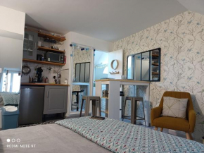 Très beau studio Trois Etoiles, WiFi, Parking Privé Jardin